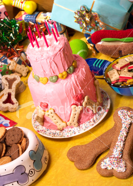  Birthday Cake Recipe on Celebrate Your Dog   S Birthday In Style  Dog  Cat And Other Pet
