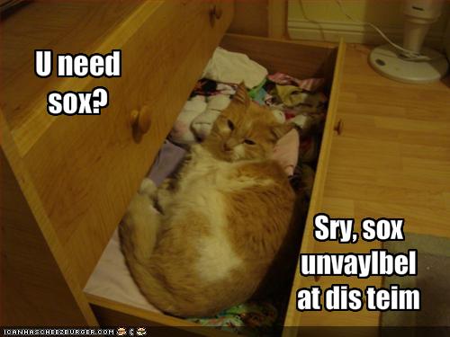 funny-pictures-cat-hogs-the-sock-drawer.jpg