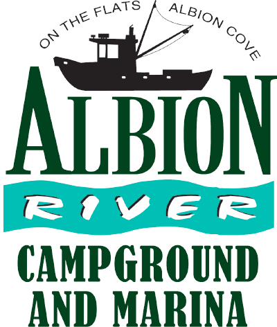 Pet Friendly Albion River Campground and Flats in Albion, CA