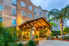 Pet Friendly Staybridge Suites Brownsville in Brownsville, Texas