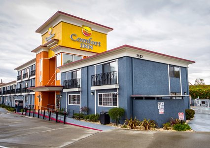 Pet Friendly Comfort Inn in Castro Valley, California