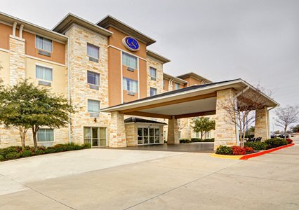 Pet Friendly Comfort Suites in Arlington, Texas