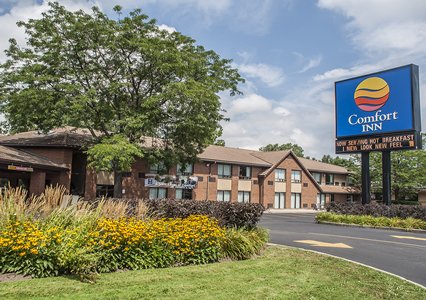 Pet Friendly Comfort Inn in Simcoe, Ontario