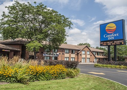 Pet Friendly Comfort Inn in Simcoe, Ontario