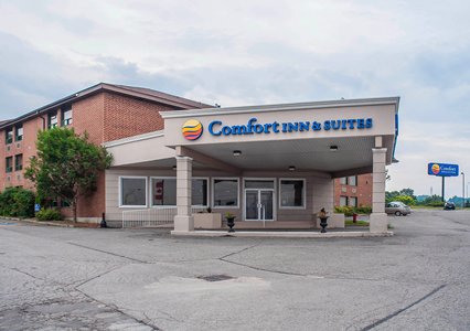 Pet Friendly Comfort Inn & Suites in Barrie, Ontario