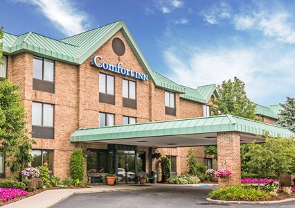 Pet Friendly Comfort Inn in Utica, Michigan