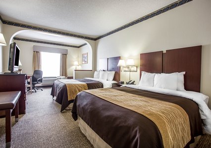 Pet Friendly Comfort Inn & Suites Ft. Jackson Maingate in Columbia, South Carolina