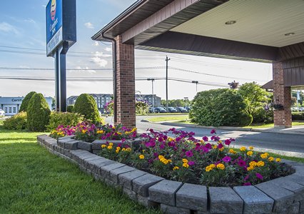 Pet Friendly Comfort Inn in Fredericton, New Brunswick