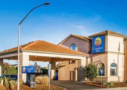 Pet Friendly Comfort Inn in Watsonville, California