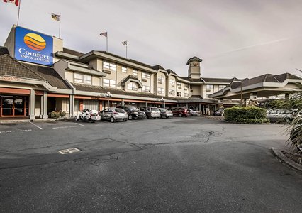 Pet Friendly Comfort Inn & Suites in Victoria, British Columbia