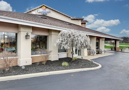 Pet Friendly Comfort Inn in Painesville, Ohio