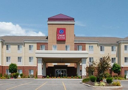 Pet Friendly Comfort Suites in Mount Vernon, Illinois