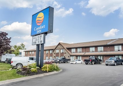 Pet Friendly Comfort Inn in Newmarket, Ontario