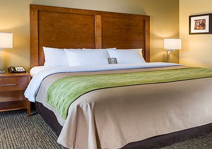 Pet Friendly Comfort Inn PA Turnpike - I-81 in Carlisle, Pennsylvania