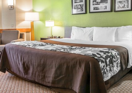 Pet Friendly Sleep Inn & Suites in Grand Rapids, Michigan