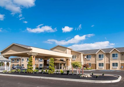 Pet Friendly Comfort Inn in Saugerties, New York