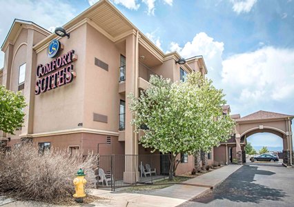 Pet Friendly Comfort Suites in Castle Rock, Colorado