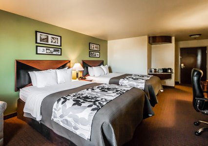 Pet Friendly Sleep Inn & Suites in Shamrock, Texas