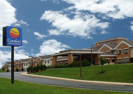 Pet Friendly Comfort Inn & Suites in North East, Maryland