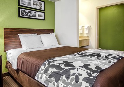 Pet Friendly Sleep Inn Louisville Airport & Expo in Louisville, Kentucky