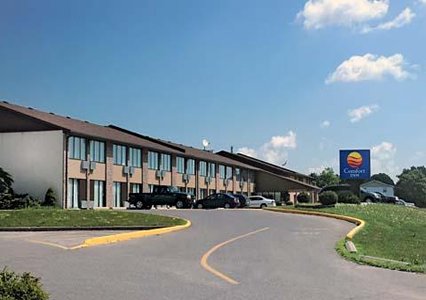 Pet Friendly Comfort Inn in Belleville, Ontario