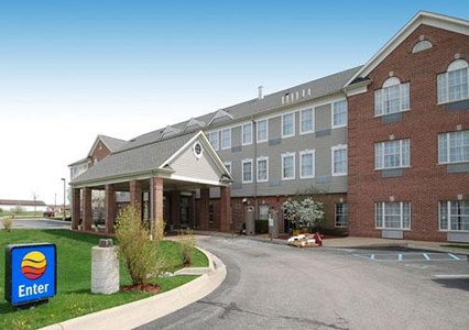 Pet Friendly Comfort Inn in Chelsea, Michigan