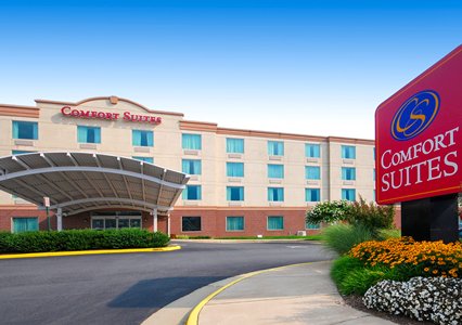 Pet Friendly Comfort Suites Manassas Battlefield Park in Manassas, Virginia