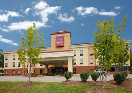 Pet Friendly Comfort Suites in Fairview Heights, Illinois