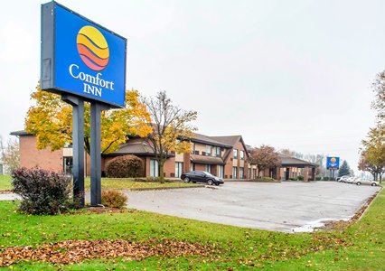 Pet Friendly Comfort Inn in Guelph, Ontario