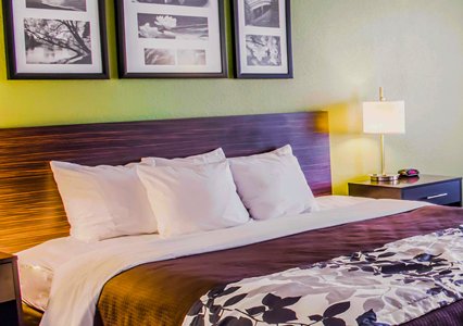 Pet Friendly Sleep Inn & Suites in Lexington, Virginia