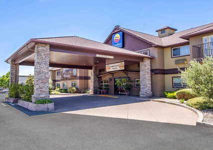 Pet Friendly Comfort Inn & Suites in Ukiah, California