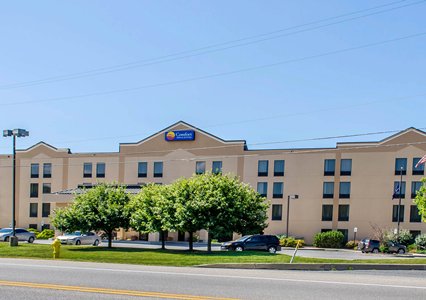 Pet Friendly Comfort Inn & Suites in York, Pennsylvania