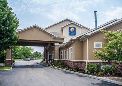 Pet Friendly Comfort Inn University in Amherst, New York