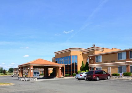 Pet Friendly Quality Inn & Suites Albany Airport in Latham, New York