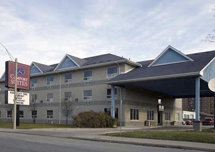 Pet Friendly Comfort Suites Downtown in Windsor, Ontario