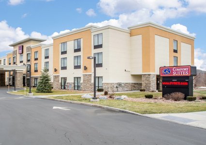 Pet Friendly Comfort Suites Cicero - Syracuse North in Cicero, New York