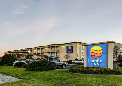 Pet Friendly Comfort Inn in Redding, California