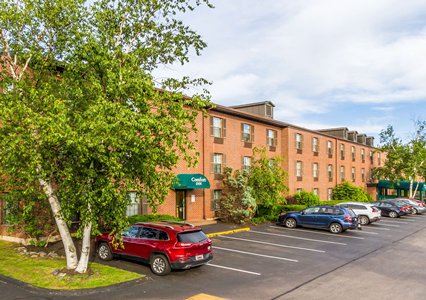 Pet Friendly Comfort Inn Airport in South Portland, Maine