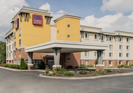 Pet Friendly Comfort Suites in Seaford, Delaware