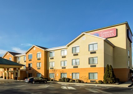 Pet Friendly Comfort Suites in Georgetown, Kentucky