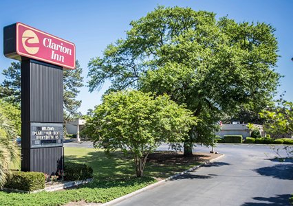 Pet Friendly Clarion Inn Airport in West Columbia, South Carolina