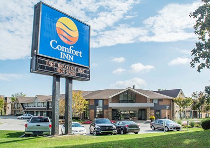 Pet Friendly Comfort Inn in Burlington, Ontario