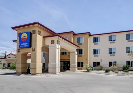Pet Friendly Comfort Inn & Suites in Rifle, Colorado