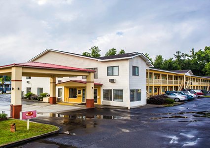 Pet Friendly Econo Lodge in Saint George, South Carolina