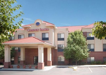 Pet Friendly Comfort Suites Lakewood - Denver in Lakewood, Colorado