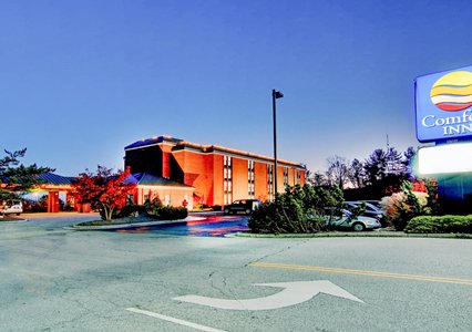 Pet Friendly Comfort Inn in Blacksburg, Virginia