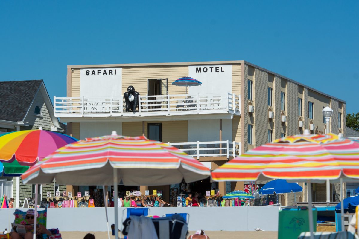 Pet Friendly Safari Hotel Boardwalk in Ocean City, Maryland