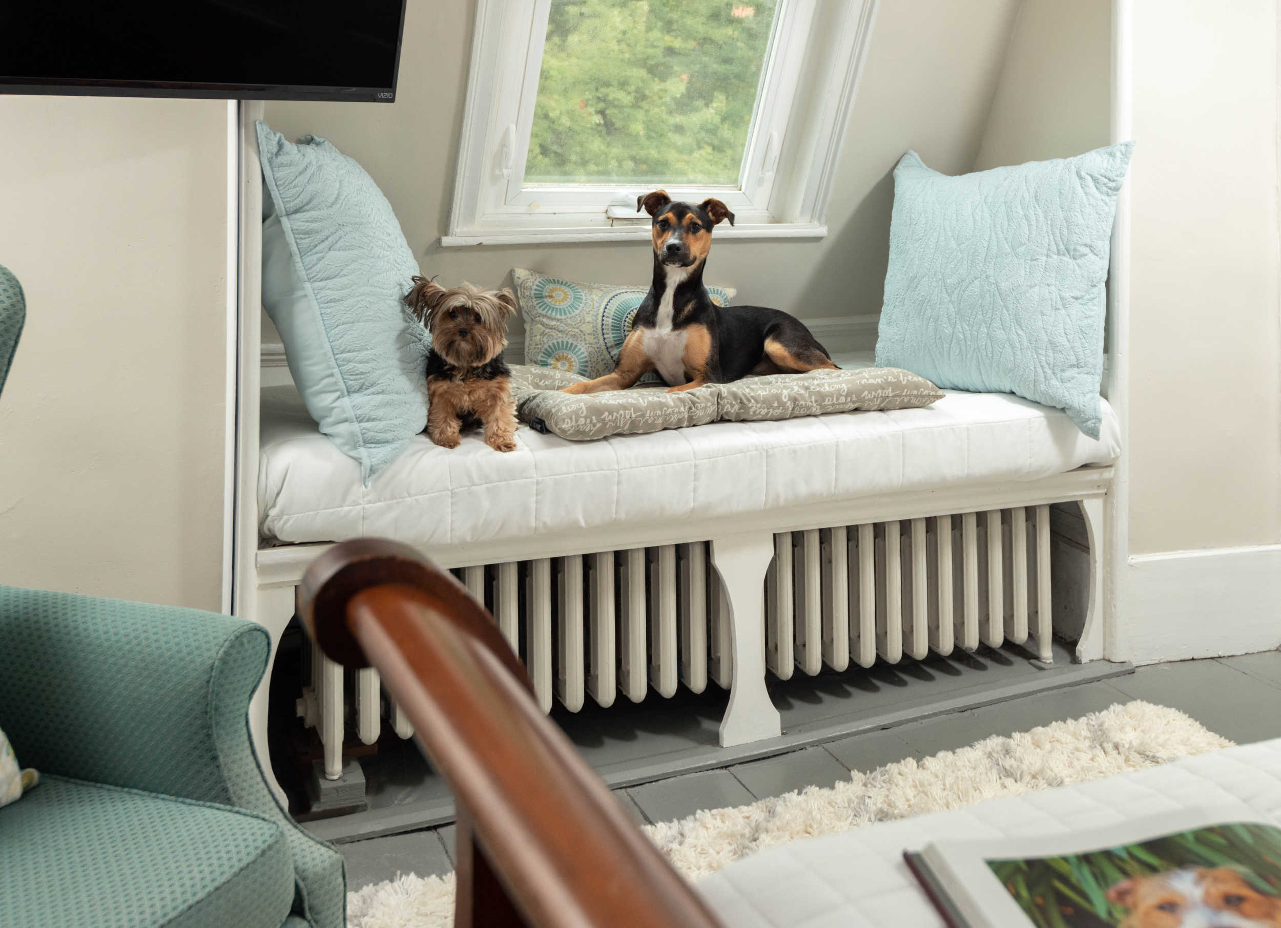 Pet Friendly Waldo Emerson Inn in Kennebunk, Maine