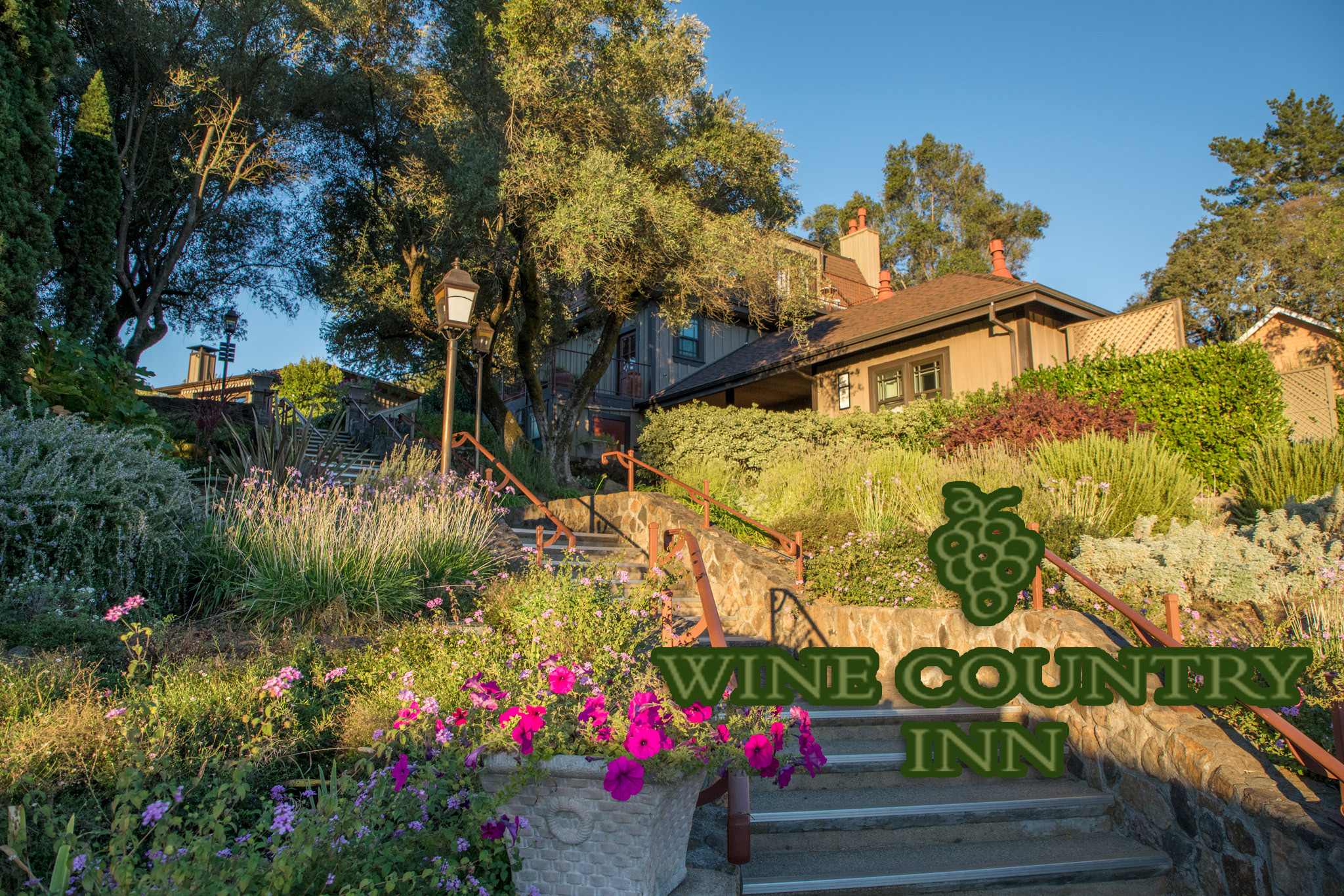 Pet Friendly Wine Country Inn & Cottages in Saint Helena, California