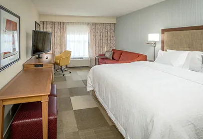 Pet Friendly Hampton Inn Tampa Downtown Channel District in Tampa, Florida